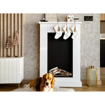 Pula Mini Portal Bio-fireplace
