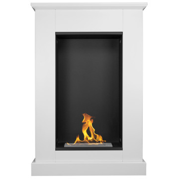 Pula Mini Portal Bio-fireplace