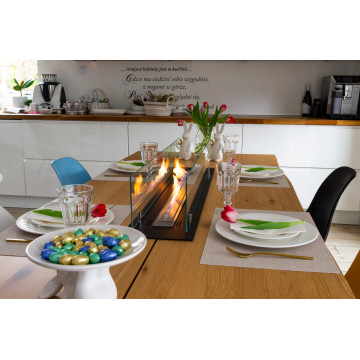 Built-in Biofireplace Insert 100 cm Black Matt with Glass