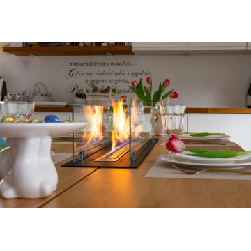 Einbau-Biokamin Einsatz 100 cm Schwarz Matt mit Glas